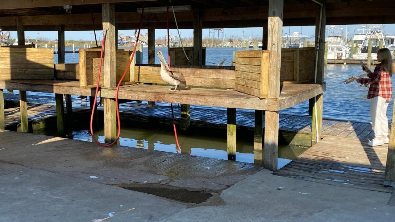 Resort Lodging At Venice Marina W/ Wifi + Private Dock Esterno foto